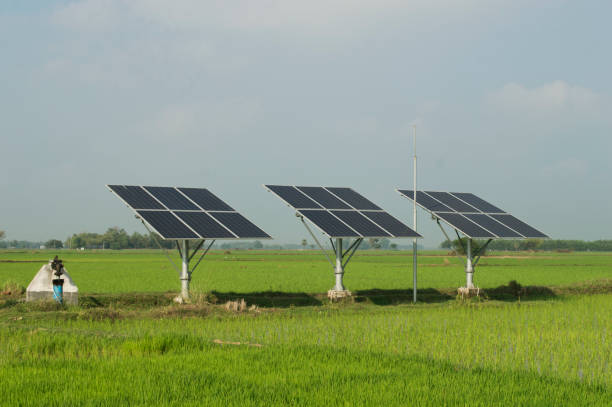 Solar Agriculture Pump